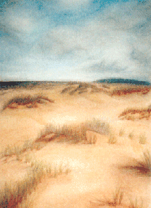 Oregon Dunes