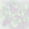 Typograph